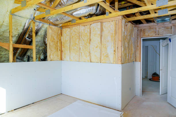 Best DIY Insulation Kits and Guidance in Springville, IA