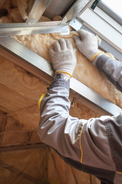 Best Eco-Friendly Insulation in Springville, IA