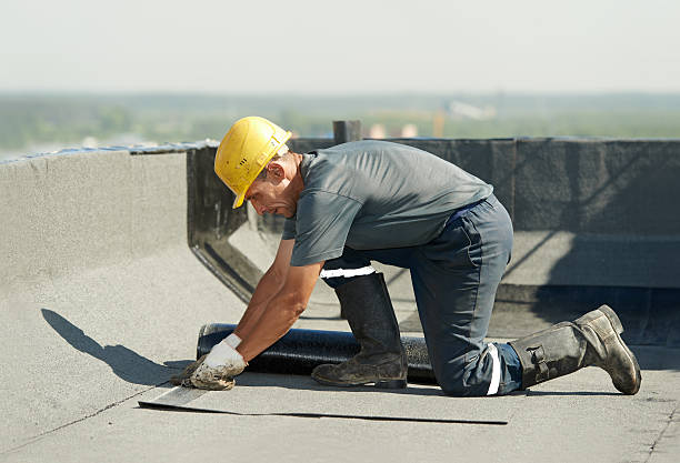 Best Insulation Maintenance and Repair in Springville, IA