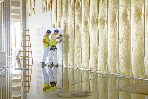 Best Geographic-Specific Insulation Services in Springville, IA